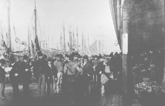 THE FISHING INDUSTRY