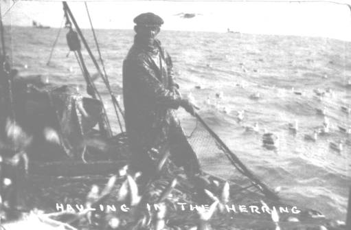 Fish 1925 THE FISHING INDUSTRY